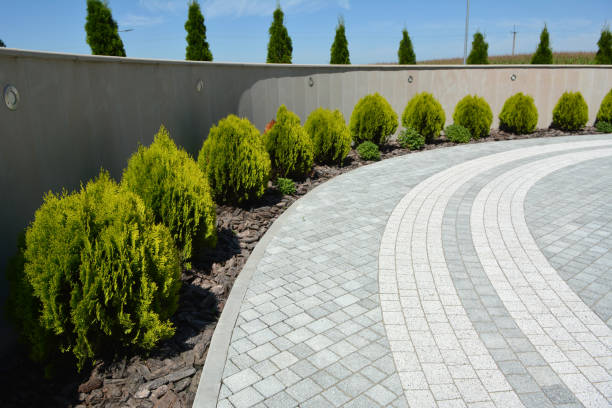 Best Commercial Driveway Paving in Kirby, TX